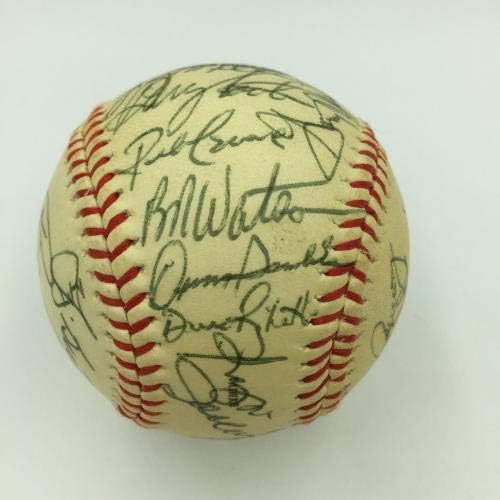 Prekrasna 1981. New York Yankees American League Champs tim potpisao bejzbol JSA - Autografirani bejzbols