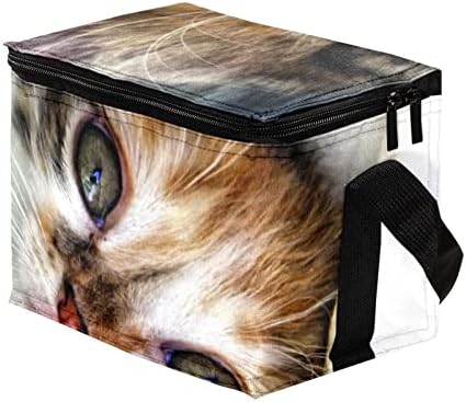Torba za ručak za muškarce, izolirana kutija za ručak, kutija za ručak za odrasle, crtež životinjske mačke