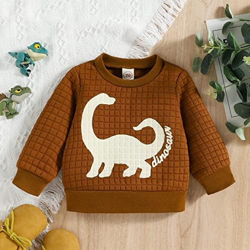 Djeca i mališana dukserica pamučna dugih rukava Crtani dinosaur Printins Twisheirt Tops Outfit Outfit Sweat majice