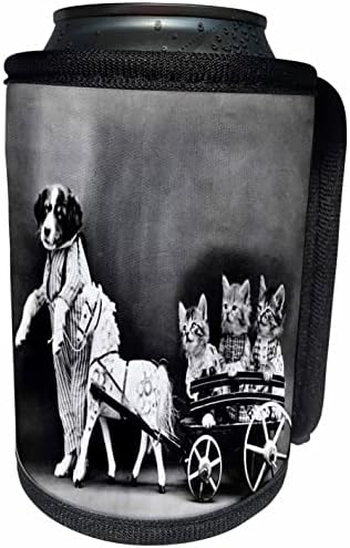 3Drose Slika antiknog foto -psa vuče vagon s tri mačke - omota za hladnjak za bocu