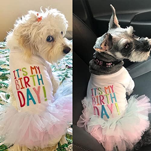 Pseći rođendan tutu haljina odjeća za pse za male pse djevojka chihuahua jorkie rođendanska zabava