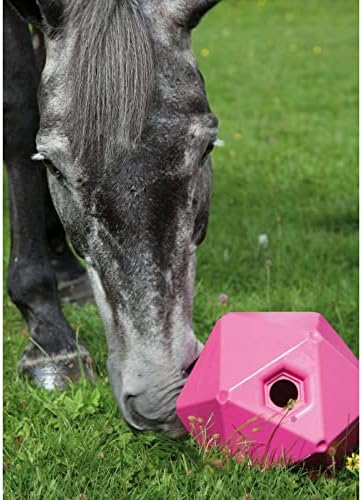Almencla Pack od 2 smiješna igračka za hranjenje od kuglice za konje za konj stabilne staje dosada stres.