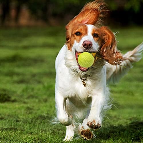 Kuglice za pse, neuništiva pseća igračka za igračke za agresivne žvakaće, trajna interaktivna kuglica visoke elastičnosti, lagana težina