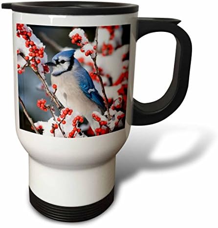 3Drose Blue Jay zimi. Putnička šalica, 14 oz, nehrđajući čelik, bijela